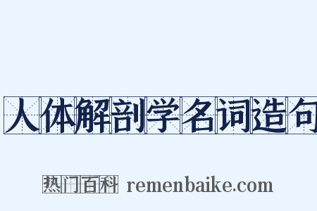 人体解剖学名词造句是什么意思的图片